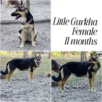 processed/d0399de0-8664-4ce4-89fc-2e20ef14d6ce/facility/78670131-0cf9-4251-a313-10dda0c8a7b9