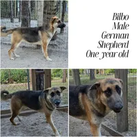 processed/d0399de0-8664-4ce4-89fc-2e20ef14d6ce/facility/78c38aea-f2ca-42b5-b6f6-c047355d0a07