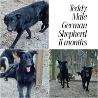 processed/d0399de0-8664-4ce4-89fc-2e20ef14d6ce/facility/9808256e-c0b1-4cf6-a179-cb6d406d9dfa