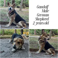 processed/d0399de0-8664-4ce4-89fc-2e20ef14d6ce/facility/d3e16887-4e31-4fb5-aa06-eb392e961794