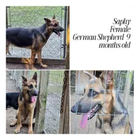 processed/d0399de0-8664-4ce4-89fc-2e20ef14d6ce/facility/dad8ff0a-fec8-4c8a-8475-4844c425f201