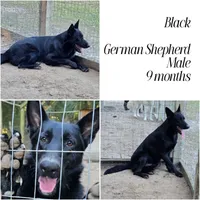 processed/d0399de0-8664-4ce4-89fc-2e20ef14d6ce/facility/f7b9ecf6-3e42-43cd-900a-69b99ce2635c