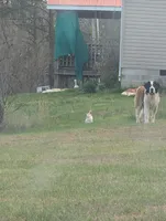 processed/d03e226d-4a1f-425a-a969-77b7c055ad9b/facility/42d1a71d-be68-43d6-8e6a-df1660ee5abf