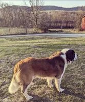 processed/d03e226d-4a1f-425a-a969-77b7c055ad9b/facility/4f9faaeb-c84a-4dae-9748-b32230b39a35