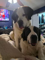 processed/d03e226d-4a1f-425a-a969-77b7c055ad9b/facility/686e6a6d-b717-4a39-ae8b-35073abb6c41