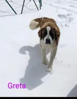 processed/d03e226d-4a1f-425a-a969-77b7c055ad9b/facility/707cfdd4-fbcf-4247-8125-cea1b233ed93