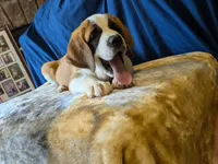 processed/d03e226d-4a1f-425a-a969-77b7c055ad9b/facility/98a1363c-c923-4af9-a256-e7e7467371c4