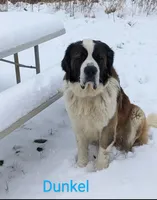 processed/d03e226d-4a1f-425a-a969-77b7c055ad9b/facility/a1dbd21e-b95d-4bee-bddb-aeebcb3a0a15