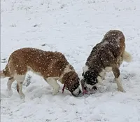 processed/d03e226d-4a1f-425a-a969-77b7c055ad9b/facility/cb0fd563-7f4e-4529-af03-b3e161273310