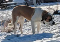 processed/d03e226d-4a1f-425a-a969-77b7c055ad9b/facility/cb7a1056-72f7-47c6-8015-9cfa14274cee