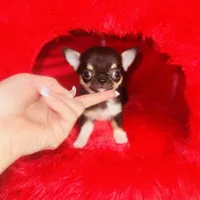 processed/d04018d9-b56d-442c-a28d-34e6acbf197e/facility/0613c1d6-9a24-42a7-9286-0d88c314c34a