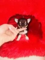 processed/d04018d9-b56d-442c-a28d-34e6acbf197e/facility/0613c1d6-9a24-42a7-9286-0d88c314c34a