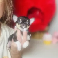 processed/d04018d9-b56d-442c-a28d-34e6acbf197e/facility/475e52be-1b42-4c1c-ad42-7330ef208d50