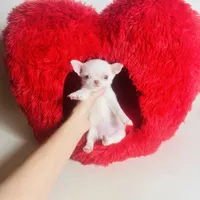 processed/d04018d9-b56d-442c-a28d-34e6acbf197e/facility/4e290620-3c4c-4b91-82b6-6cd603ba629a