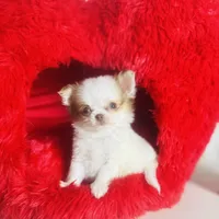 processed/d04018d9-b56d-442c-a28d-34e6acbf197e/facility/51c87b42-5fd1-48f6-8bac-16eb62082f9f