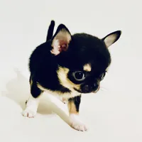 processed/d04018d9-b56d-442c-a28d-34e6acbf197e/facility/9b9fd123-510d-42f1-8c6a-d95291b27a15