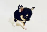 processed/d04018d9-b56d-442c-a28d-34e6acbf197e/facility/9b9fd123-510d-42f1-8c6a-d95291b27a15