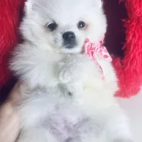 processed/d04018d9-b56d-442c-a28d-34e6acbf197e/facility/d28f8cb3-24df-44e7-b7bf-827d60daf3f1