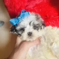 processed/d04018d9-b56d-442c-a28d-34e6acbf197e/facility/efca5bc3-b654-4854-b63f-05f52c94920d