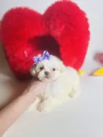 processed/d04018d9-b56d-442c-a28d-34e6acbf197e/listing/147491ce-97db-419e-b9ed-e3b3b81a5b06/19304b9e-bd40-47e5-8d59-a003737c6420