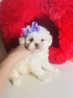 processed/d04018d9-b56d-442c-a28d-34e6acbf197e/listing/147491ce-97db-419e-b9ed-e3b3b81a5b06/3d98153b-8189-4bcf-80e8-8b235b8aed5c