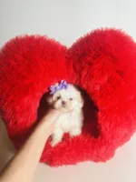 processed/d04018d9-b56d-442c-a28d-34e6acbf197e/listing/147491ce-97db-419e-b9ed-e3b3b81a5b06/4c6ca899-39f1-4ba5-a617-3c14301b4664