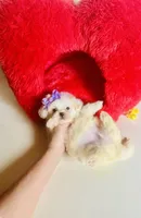 processed/d04018d9-b56d-442c-a28d-34e6acbf197e/listing/147491ce-97db-419e-b9ed-e3b3b81a5b06/54fa3647-e326-45d7-a522-5aa8d10ae23b