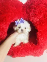 processed/d04018d9-b56d-442c-a28d-34e6acbf197e/listing/147491ce-97db-419e-b9ed-e3b3b81a5b06/88ebf9af-348a-4e25-877e-9eff7a3f0572