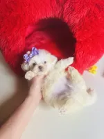 processed/d04018d9-b56d-442c-a28d-34e6acbf197e/listing/147491ce-97db-419e-b9ed-e3b3b81a5b06/a56de1f9-b8e4-410e-b165-23da5bee6333