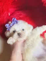 processed/d04018d9-b56d-442c-a28d-34e6acbf197e/listing/147491ce-97db-419e-b9ed-e3b3b81a5b06/b27f23ec-6db7-46f5-afd6-93cbeb030b18