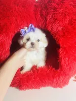 processed/d04018d9-b56d-442c-a28d-34e6acbf197e/listing/147491ce-97db-419e-b9ed-e3b3b81a5b06/f6a2faf8-8c45-4644-960f-a1ea3838d965