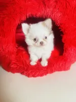 processed/d04018d9-b56d-442c-a28d-34e6acbf197e/listing/4b85fa40-fad0-40b6-829a-c403dc8c9c05/18b06dba-6c75-4691-a16f-88b3a9d3f7df