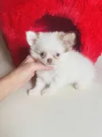 processed/d04018d9-b56d-442c-a28d-34e6acbf197e/listing/4b85fa40-fad0-40b6-829a-c403dc8c9c05/3956d3b2-4edb-4b83-b866-7a883eed3b70