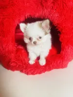 processed/d04018d9-b56d-442c-a28d-34e6acbf197e/listing/4b85fa40-fad0-40b6-829a-c403dc8c9c05/82c7382e-cfc0-4fe3-8b49-8080aeeb92c6