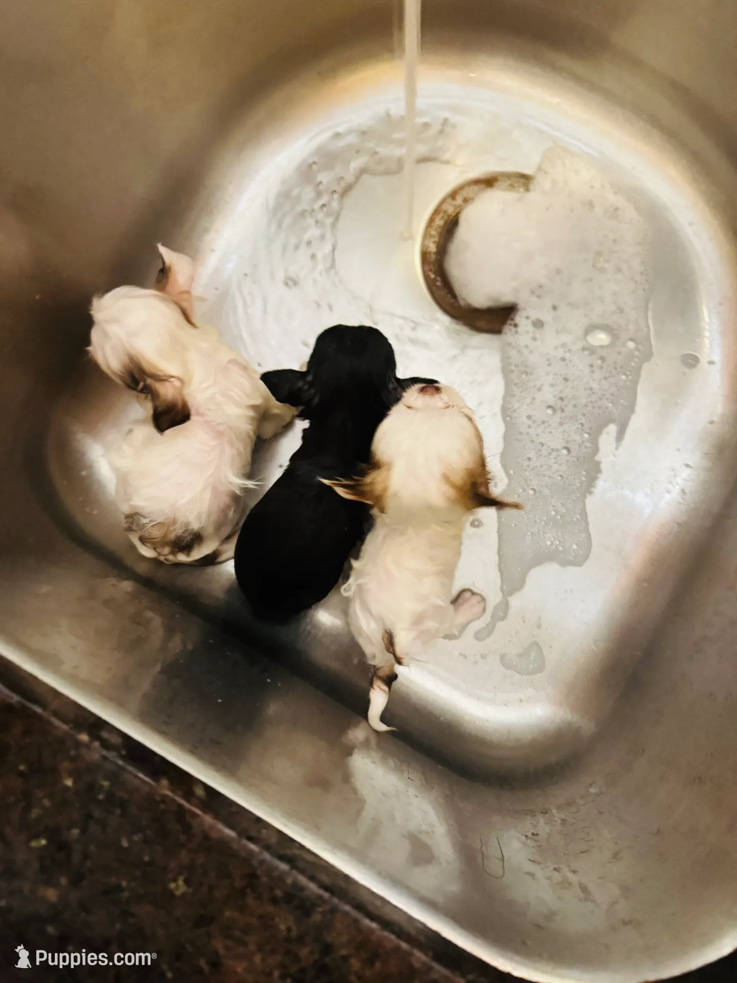 processed/d04018d9-b56d-442c-a28d-34e6acbf197e/listing/4b85fa40-fad0-40b6-829a-c403dc8c9c05/8d96c9ae-6a9e-4496-89bc-0bd7d96b1844