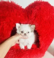 processed/d04018d9-b56d-442c-a28d-34e6acbf197e/listing/4b85fa40-fad0-40b6-829a-c403dc8c9c05/c3c0a0e9-2812-44b4-b9fb-accf9317e793