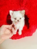 processed/d04018d9-b56d-442c-a28d-34e6acbf197e/listing/4b85fa40-fad0-40b6-829a-c403dc8c9c05/cf5a8e8c-0adb-475c-ae76-63cd13370286