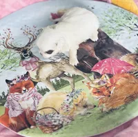 Dottie , a female Chihuahua for sale in Houston, TX – Photo 8 of 10