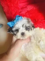 processed/d04018d9-b56d-442c-a28d-34e6acbf197e/listing/5d24443d-2afd-419e-afe5-8f442b5c4843/b0e72cd9-8f65-4d69-850f-cd67ccc21327