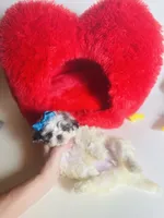 processed/d04018d9-b56d-442c-a28d-34e6acbf197e/listing/5d24443d-2afd-419e-afe5-8f442b5c4843/cfad86c6-6c73-46b8-82a1-243fea927d30