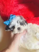 processed/d04018d9-b56d-442c-a28d-34e6acbf197e/listing/5d24443d-2afd-419e-afe5-8f442b5c4843/e61971db-4cdc-473c-abad-04377accc350