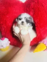 processed/d04018d9-b56d-442c-a28d-34e6acbf197e/listing/5d24443d-2afd-419e-afe5-8f442b5c4843/ed719d57-63c4-470e-9ee2-a8c232dba2e4