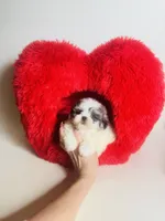 processed/d04018d9-b56d-442c-a28d-34e6acbf197e/listing/5d24443d-2afd-419e-afe5-8f442b5c4843/f1150016-92bb-403f-b720-2eacc7e25ed4