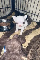 processed/d04018d9-b56d-442c-a28d-34e6acbf197e/listing/615f3171-0a2e-426f-86d4-47fe51a8ea14/57cb08e1-dde2-4e66-85a9-7a5bf8cc575c