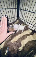 processed/d04018d9-b56d-442c-a28d-34e6acbf197e/listing/615f3171-0a2e-426f-86d4-47fe51a8ea14/87b21b26-30ec-4282-9b79-f637bfa8bae0