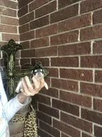 Blue Berry Puptart, a male Chihuahua for sale in Houston, TX – Photo 3 of 10