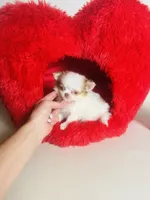 processed/d04018d9-b56d-442c-a28d-34e6acbf197e/listing/683bc232-01f6-436c-8e6f-cd763426e443/1919c643-3565-4b9d-b8b2-4fc7fa7ccea5