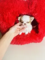 processed/d04018d9-b56d-442c-a28d-34e6acbf197e/listing/683bc232-01f6-436c-8e6f-cd763426e443/4f03b71d-d78d-4eeb-95b5-4f1b2d61c371