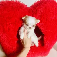 processed/d04018d9-b56d-442c-a28d-34e6acbf197e/listing/683bc232-01f6-436c-8e6f-cd763426e443/5602f02f-4aa3-46c7-b532-2eee749230dd