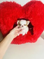 processed/d04018d9-b56d-442c-a28d-34e6acbf197e/listing/683bc232-01f6-436c-8e6f-cd763426e443/5bc467a9-d3cd-49dc-b3cd-54a09f94f6c7